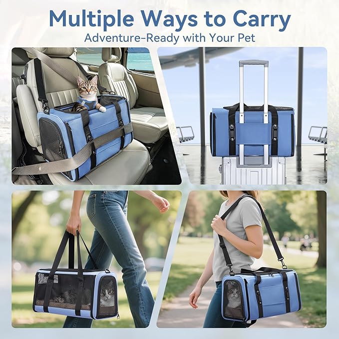PETSFIT Cat Car Carrier for Medium Cats Dogs, 19"x12"x12" TSA Approved Pet Carrier, with Patent Safety Buckles and Escape-Proof Zipper - Safeguarding Car Travel, Vet Visit, Outdoor