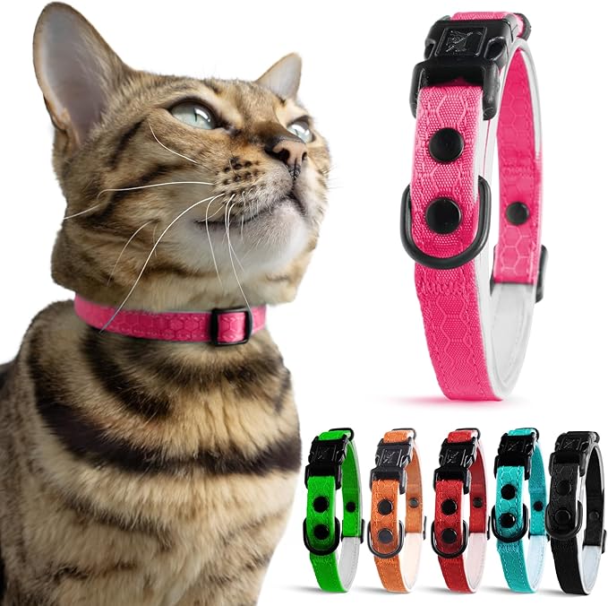 OutdoorBengal Ultra-Safe Quick Release Breakaway Kitten Collar - Cat Collar for Small Kittens Under 6 Months – Soft-Padded, Lightweight, Adjustable, Thin and Comfortable, No Bell (Pink, Kitten)