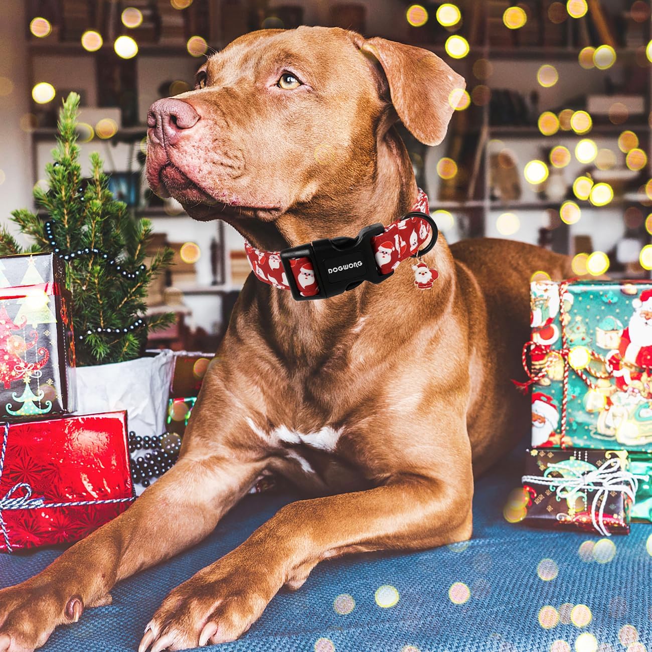 DOGWONG Christmas Red Santa Dog Collar- Cute Santa Claus Christmas Dog Collars Adjustable Designer Christmas Dog Collar for Small Medium Large Dogs L