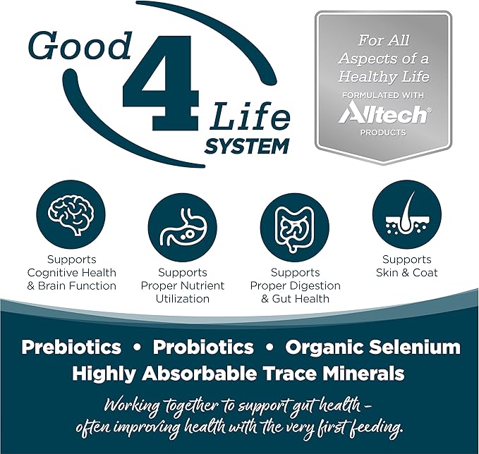 NutriSource Adult Chicken & Rice Small Bites Dog Food 5lb