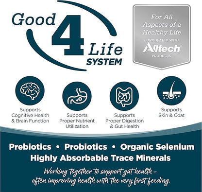 NutriSource Adult Chicken & Rice Small Bites Dog Food 5lb