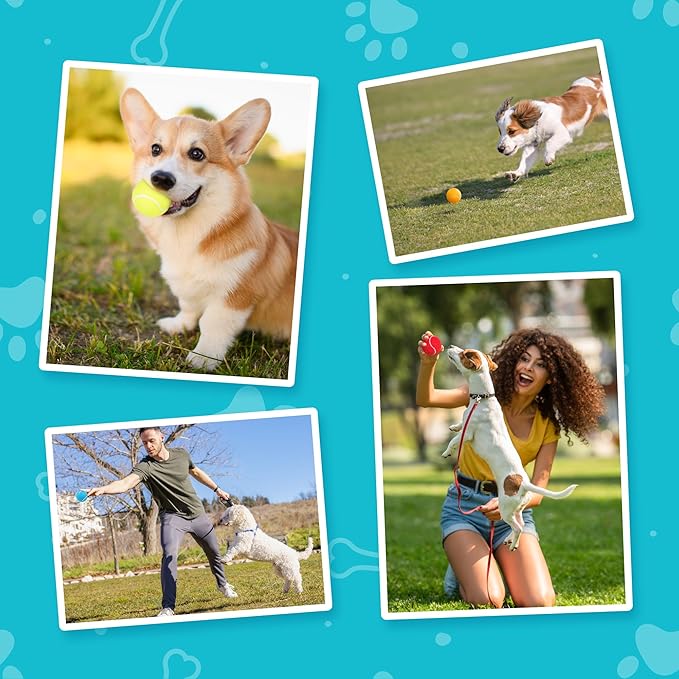 Prime Pets Tennis Balls for Dogs, 2.5 Inch, 12 Pack, Squeaky Dog Toy, Interactive Pet Fetch Ball for Medium and Large Dogs, Squeaky Dog Toys (Random Color Shipping)