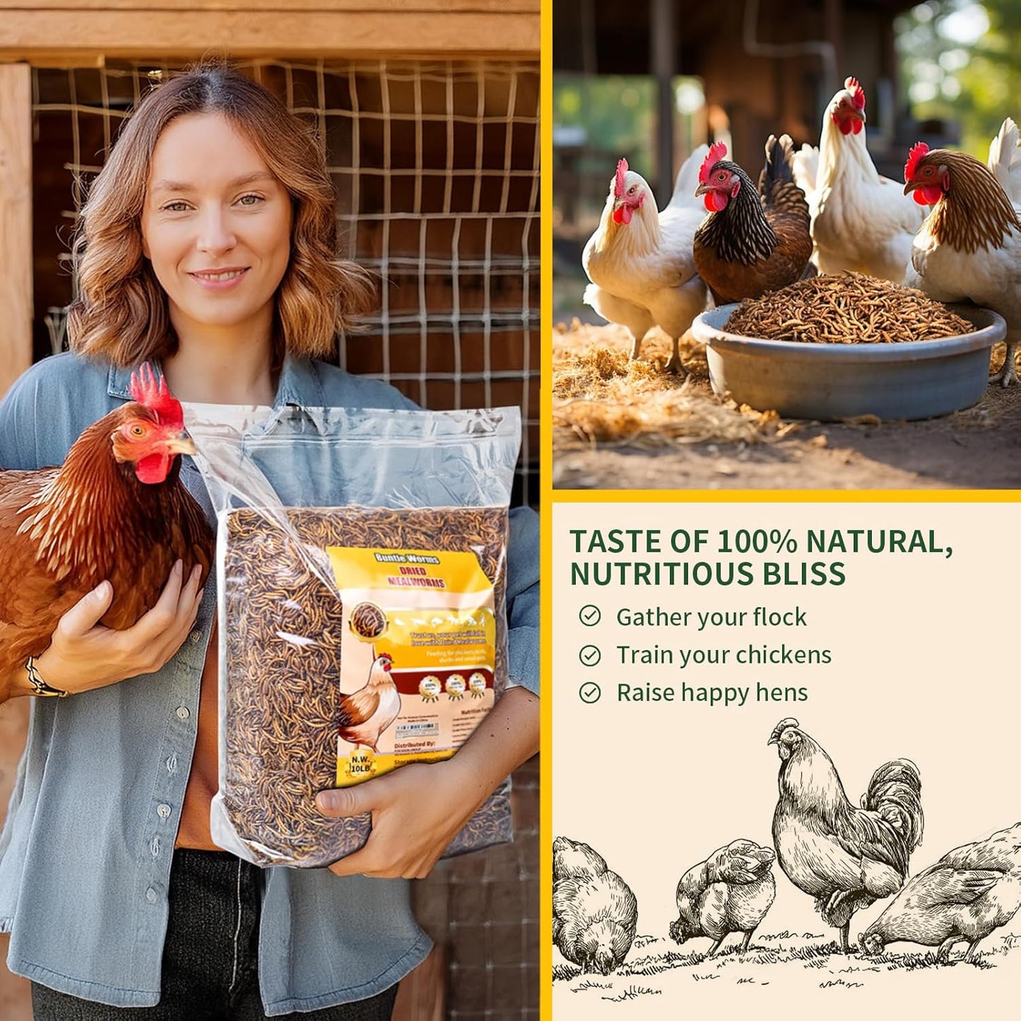 Dried Mealworms 5LB, 100% Natural, Non-GMO Mealworms for Chickens – High Protein Chicken Feed Meal Worms for Wild Birds, Chickens, Ducks and Turtles