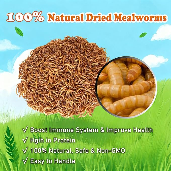 Amzey Dried Mealworms 11 LBS - 100% Natural for Chicken Feed, Bird Food, Fish Food, Turtle Food, Duck Food, Reptile Food, Non-GMO, No Preservatives, High Protein and Nutrition
