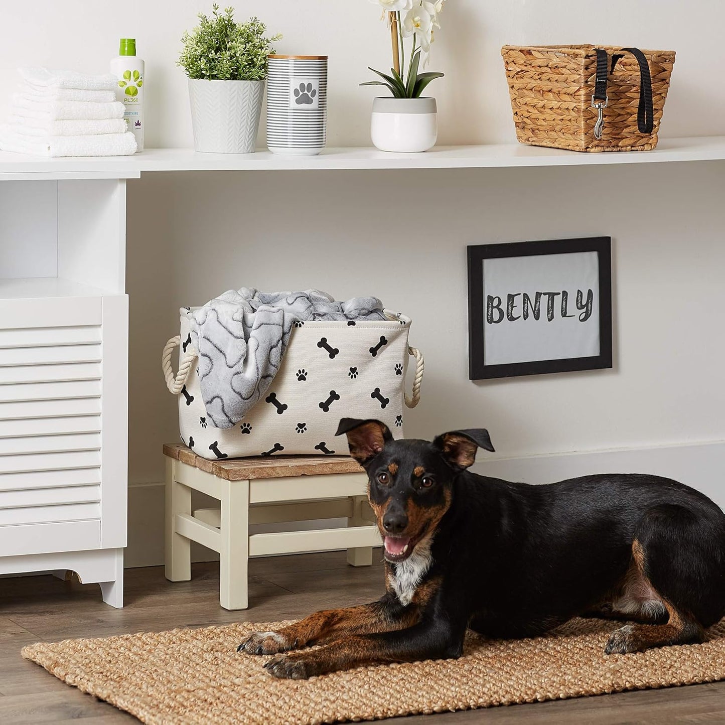 Bone Dry Pet Storage Collection Paw and Bone Print, Small Rectangle, 14x8x9, Black