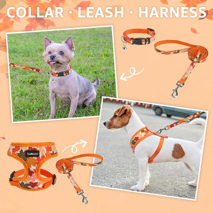 SCENEREAL Fall Dog Harness Collar and Leash Set for Small Dogs, Orange Leaf No Pull Dog Harnesses, Adjustable Step in Pet Vest for Doggie Puppy Cats Walking Outdoor, Chihuahua Yorkie Harness XS