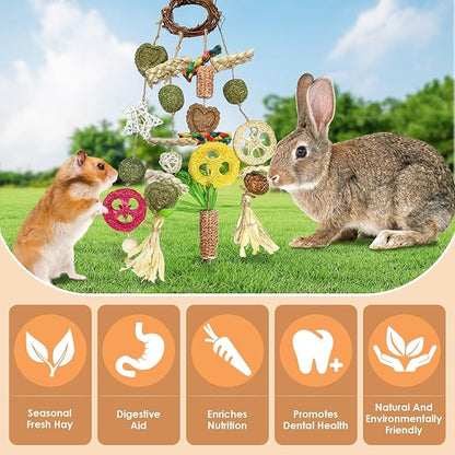 Bunny Chew Toy, Rabbits Cage Hanging Chew Toys and Treats Rattan Ring with Snacks Water Grass Wooden Block Carrot for Guinea Pigs Chinchillas Hamsters Rats and Other Small Pets Teeth Grinding