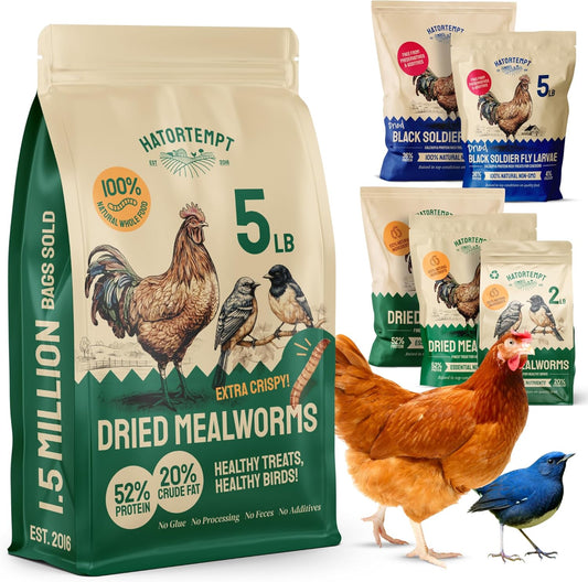 Hatortempt Chicken Feed Dried Mealworms - 5 Lb, Non-GMO & Organic - High-Protein Mealworms for Wild Birds & Ducks, Chicken Treats & Bird Food