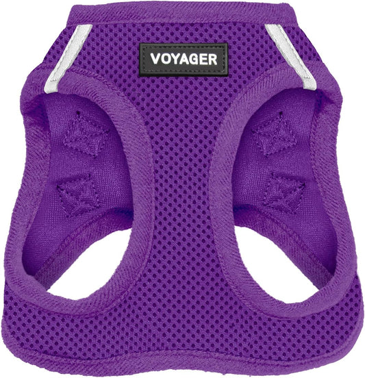 Best Pet Supplies Voyager Step-in Air Harness - All Weather Mesh, Reflective, No Pull Harness for Dogs, Cats - Secure with Hook & Loop Fastener, Buckle, Double D-Rings - Purple, M