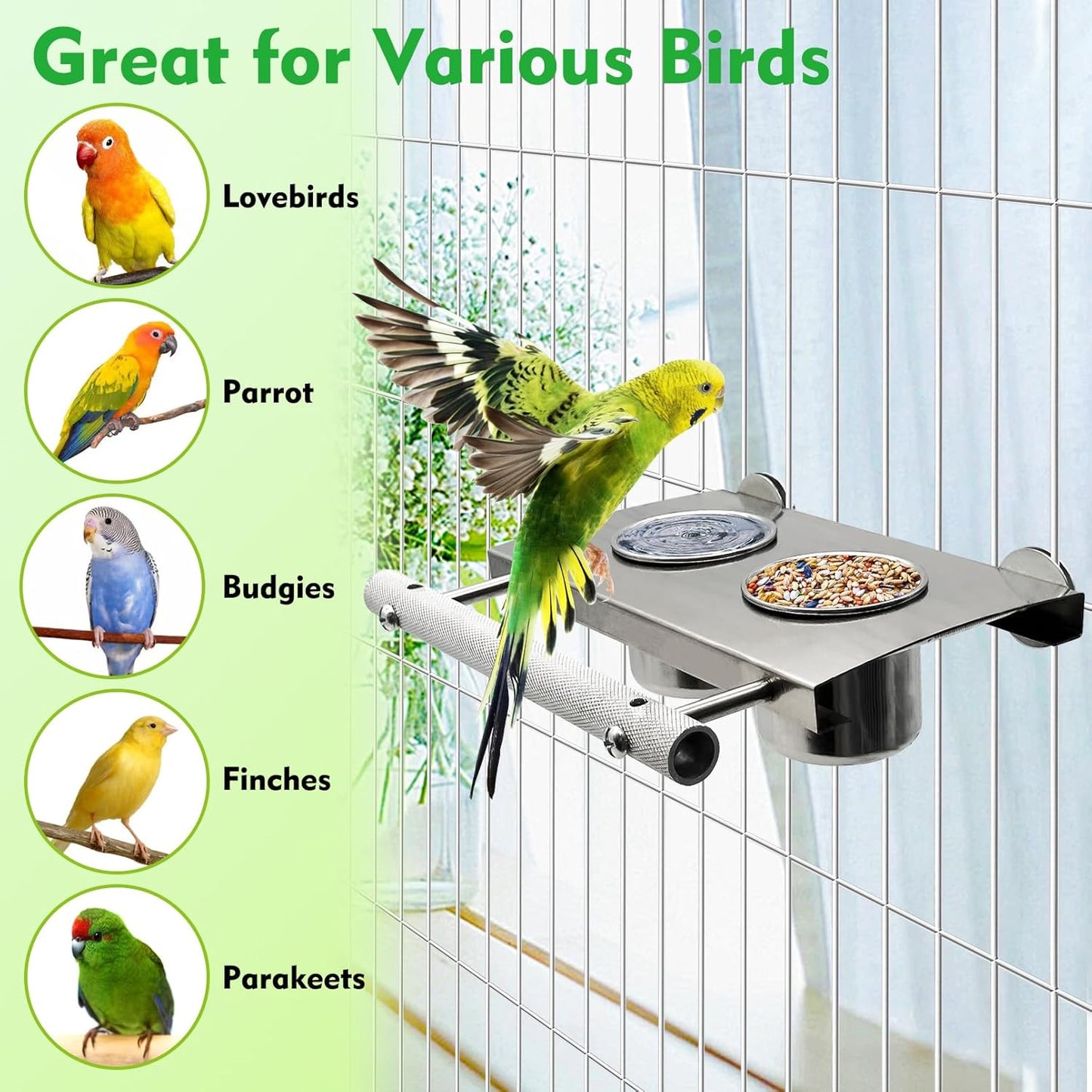 Tfwadmx Bird Parrot Feeding Cups, Small Bird Feeding Dish Cups Stainless Steel Birds Bowls Food Water Bowls with Food Holder for Cockatiel Parakeet Macaw Finches Lovebirds