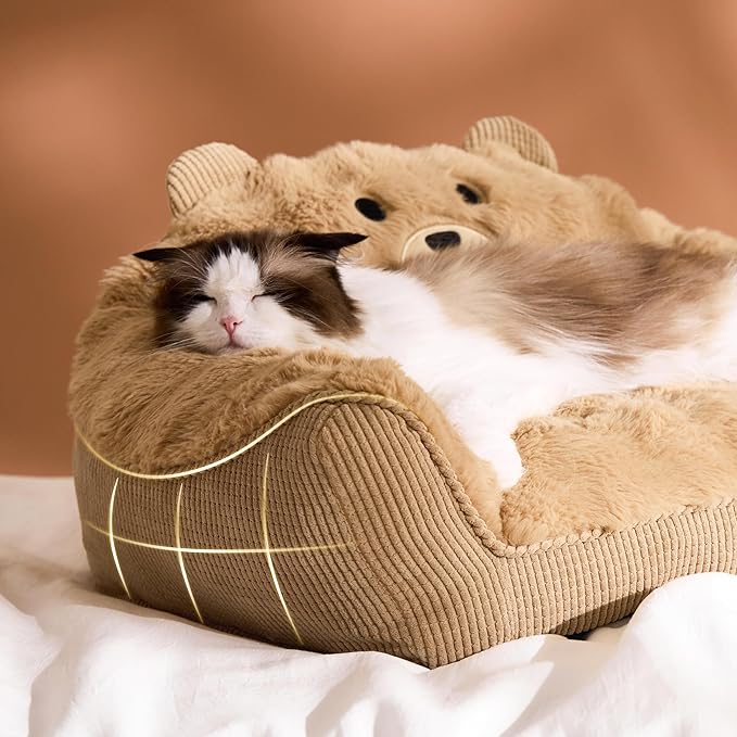 LE SURE Cute Cat Couch for Pets - Fluffy Original Bear Design Cat Beds for Indoor Cats, Fuzzy Cats Sofa with Removable Washable Cover, Supportive Pet Chair, 24inch, Almond