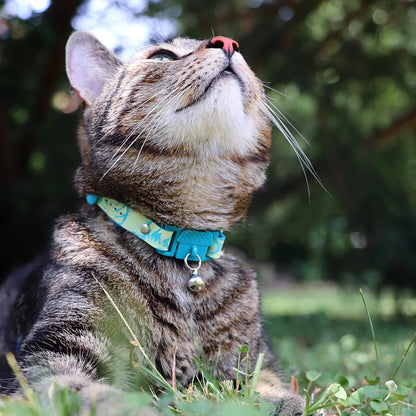 Kittyrama Botanicals Jungle Kitten Collar. Award Winning. Hypoallergenic, Quick Release Breakaway, Comfy & Soft. Vet Approved. Other Styles Available