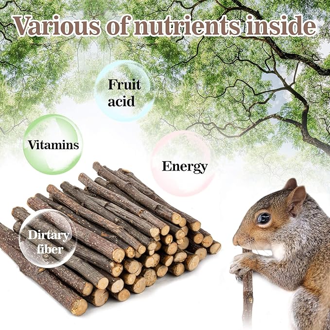 Sukh Natural Organic Apple Sticks - 250g Hamster Chew Stick Hams Rabbit Bunny Gerbil Guinea Pig Squirrel Chinchilla Small Animal Chew Sticks