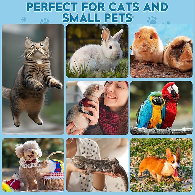 Cat Nail Clippers, Professional Pet Claw Clippers for Indoor Cats, Kittens, Small Dogs, Puppys, Birds, Rabbits, Safe Nail Trimmer and Grooming Tools for Small Animals Home Pets