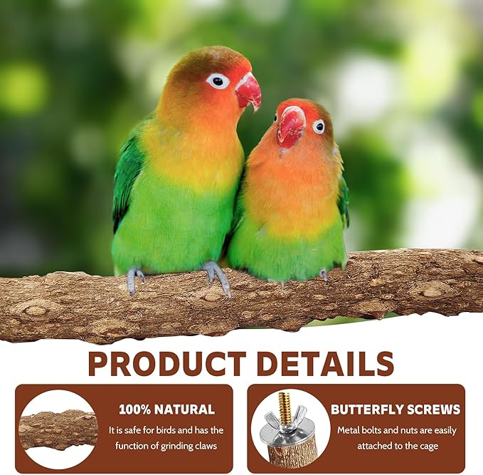 7-Piece Bird Perch Set: 3 Grapevine Paw Grinding Forks, 2 Wood Stands & 2 Hammocks - Cage Accessories for Parakeets, Cockatiels, Conures, Budgies