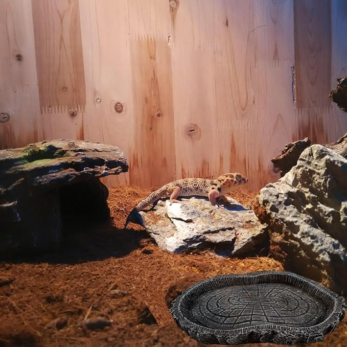 2 Pack Shallow Reptile Food Bowls, Reptile Feeding Terrarium Bowls for Bearded Dragon Lizard Frog Gecko Tortoise Hermit Crab Snail (Black)