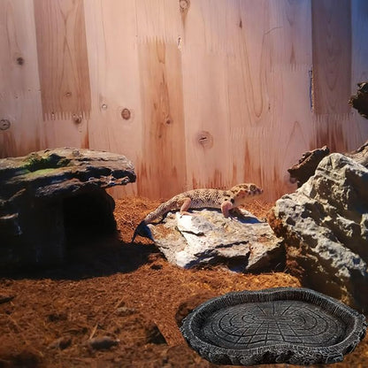 2 Pack Shallow Reptile Food Bowls, Reptile Feeding Terrarium Bowls for Bearded Dragon Lizard Frog Gecko Tortoise Hermit Crab Snail (Black)