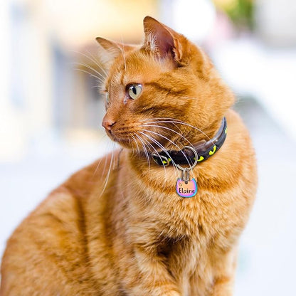 Anavia Small Size Dog Cat ID Tags, Small/XS Personalized Color Plated Stainless Steel Puppy Kitten Name Tags, Customized Engraved Nameplate Pet Collar Tag (Purple, Cat Head)