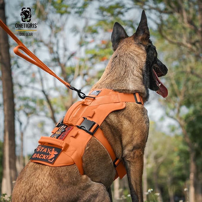 OneTigris Escape Proof Dog Harness, No Pull Dog Harness with Handles, Tactical Multi-Use Support Dogs Harnes for Large Dogs Everyday Wear Walking Hiking Training (Orange, Large)