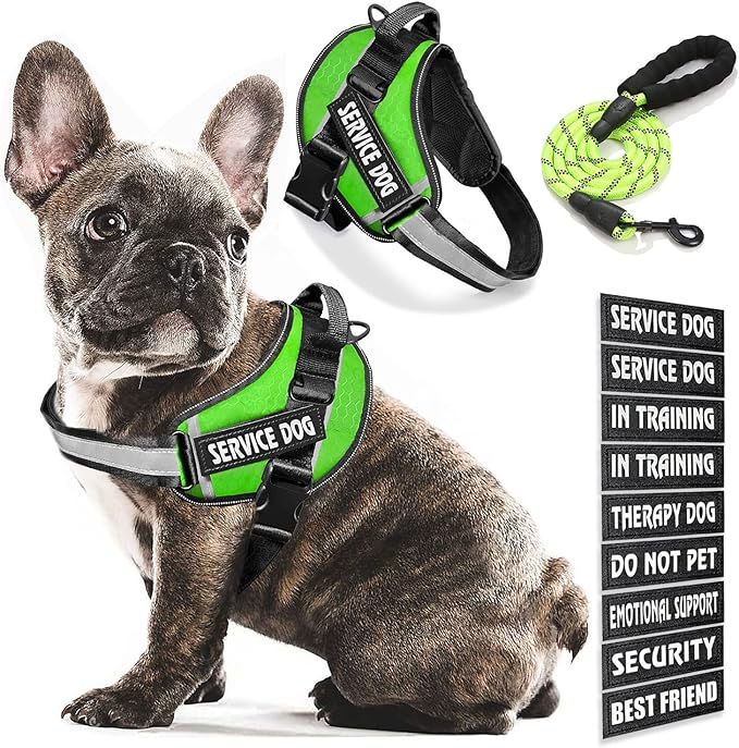 Service Dog Vest, 9 Dog Patches No Pull Dog Harness and Leash Set with Handle,Easy On and Off Pet Vest Harness with Night Safe Reflective Straps for Small Medium Large Breed Dogs