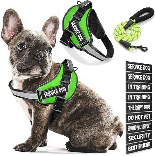 Service Dog Vest, 9 Dog Patches No Pull Dog Harness and Leash Set with Handle,Easy On and Off Pet Vest Harness with Night Safe Reflective Straps for Small Medium Large Breed Dogs