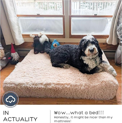 Jumbo Orthopedic Dog Bed for Large Dogs - 7-inch Thick Memory Foam Dog Bed with Pillow Removable Cover Machine Washable (Beige | Plush), 50''L x 34''W x 10''Th I Extra Large