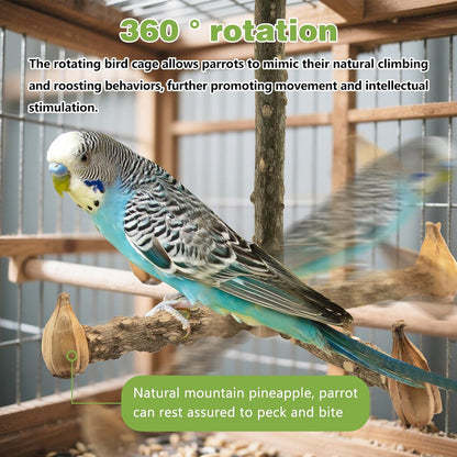 Parrot Cage Accessories-Pure Wood Parrot Perches Toys,Climbing Ladder,Bird Rotating Perch,Bird Swing,Suitable for Parakeet,Conure,Cockatiel,Mynah,Love Birds Finches