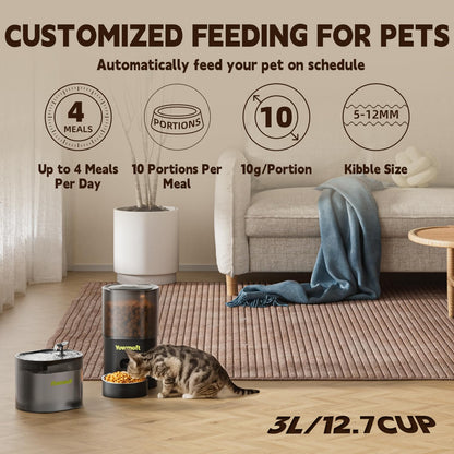 Automatic Cat Feeder & Fountain, 3L Timed Dry Food Dispenser, 10 Portions 1-4 Daily Meals, Auto Feeder with Desiccant Bag, Water Dispenser with Filter, Wire or Battery Powered