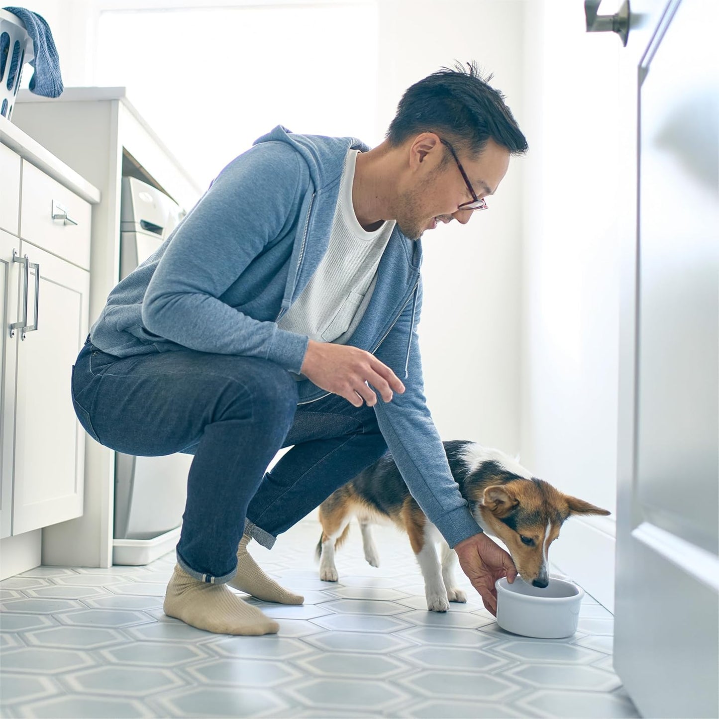 Petivity Microbiome Analysis Kit — Comprehensive for Cats and Dogs, Powered by Purina