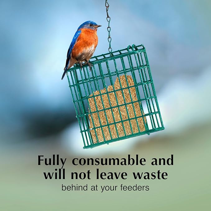 C&S Mealworm Delight No Melt Suet Dough, Suet Cakes for Wild Birds, 11.75 Ounces, Pack of 8