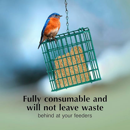 C&S Mealworm Delight No Melt Suet Dough, Suet Cakes for Wild Birds, 11.75 Ounces, Pack of 8