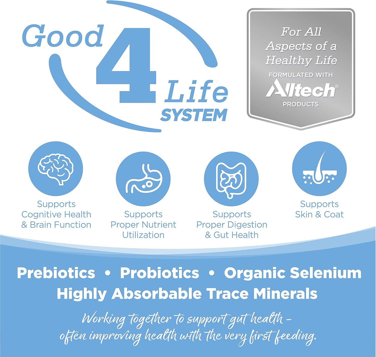 NutriSource Dog Food, Made with Trout and Rice, Large Breed, with Wholesome Grains, 30LB, Dry Dog Food