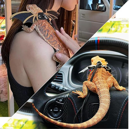 Bearded Dragon Carrier Set, Reptile Carrier Kit Includes Bearded Leash, Shark Costume, Bearded Dragon Harness Vest with Costume for Small Pets Travel