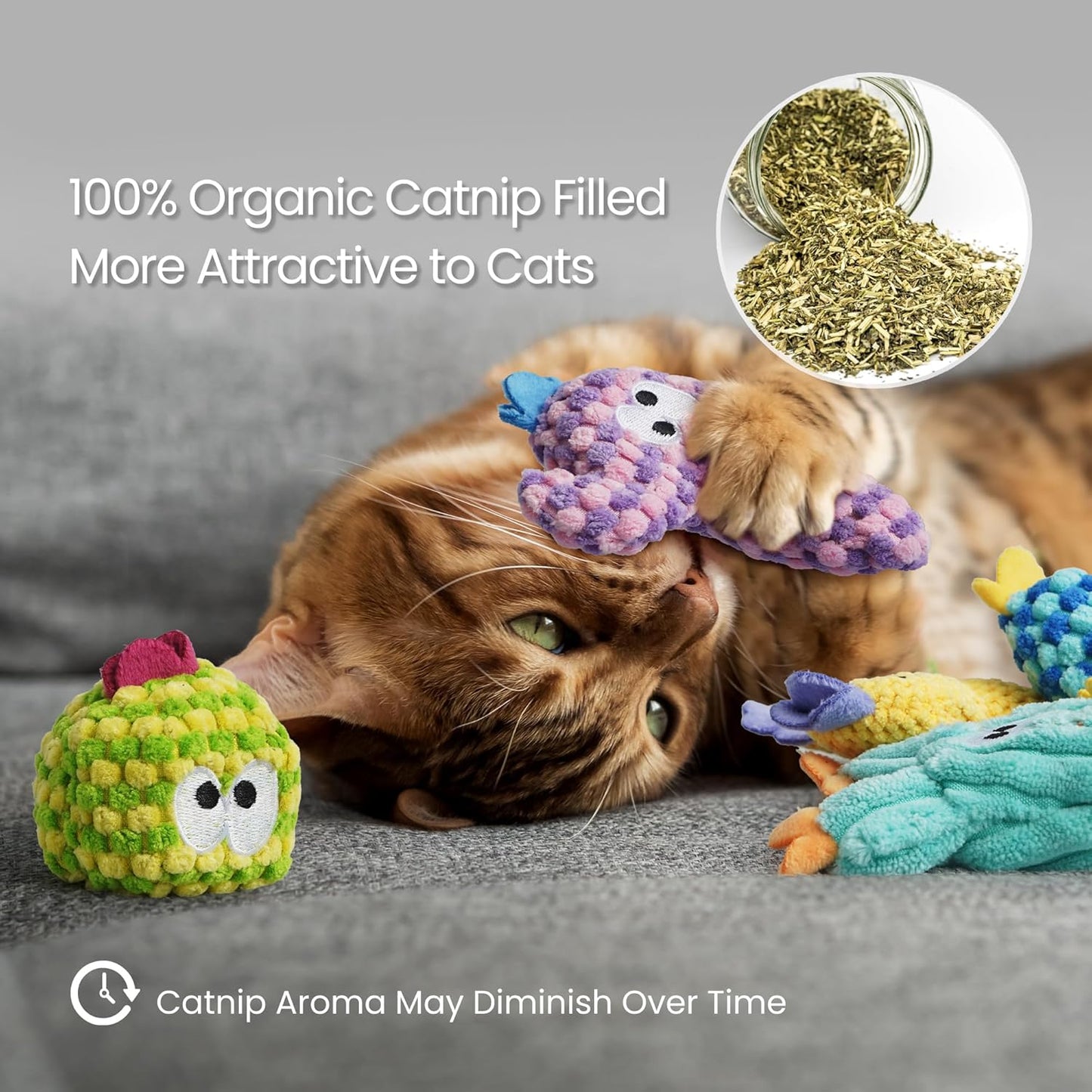 5 Pack Cactus Catnip Toys, 100% Organic Catnip Toys for Indoor Cats, Interactive Plush Chew Fun Without Cotton, Teething Soft Kittens Toys for Kitty, Colorful