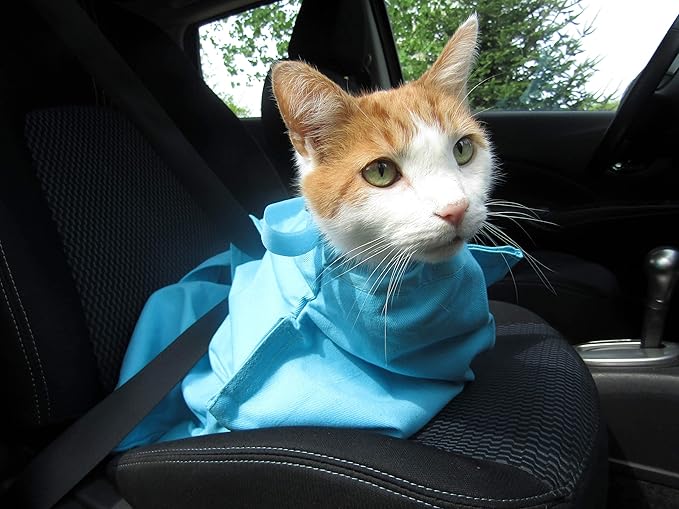 Cat-in-the-Bag Cozy Comfort Carrier - X-Large Green Cat Carrier, Cat Holder for Cutting Nails, & Cat Carrier Pouch for Vet Visits, Medication Administration, Dental Care, & Travel