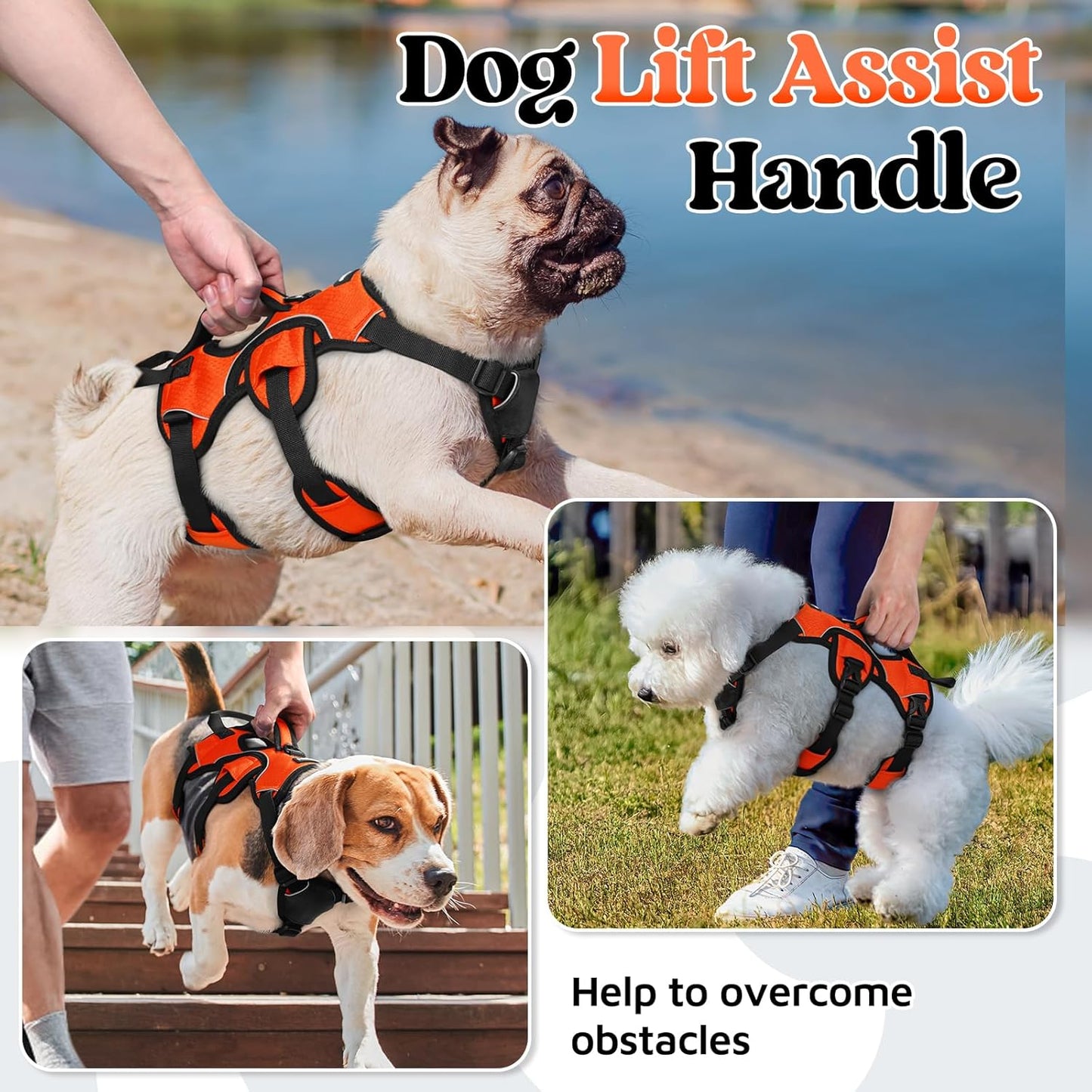 rabbitgoo Escape Proof Dog Harness, Soft Padded Full Body Pet Harness, Reflective Adjustable No Pull Vest with Lift Handle and Lesh Clip for Large Dogs Walking Hiking Training, S, Orange