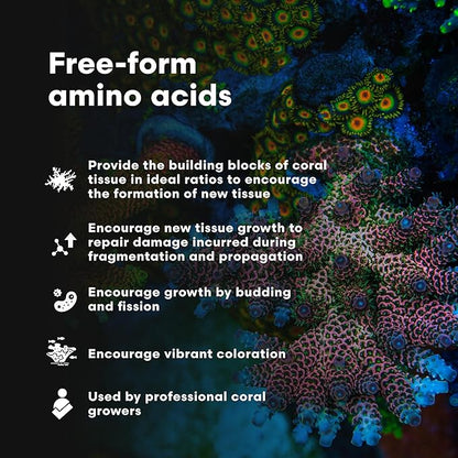 Brightwell Aquatics CoralAmino - Complex of Amino Acids for Corals - Coral food for Aquarium Coral Growth - Saltwater Aquarium Treatments, 2.02 fl oz