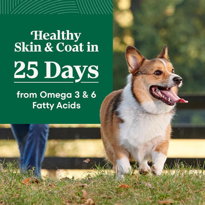 Nutro Natural Choice Chicken & Brown Rice Small Breed Senior Dog Food Dry Recipe, 5 lb. Bag