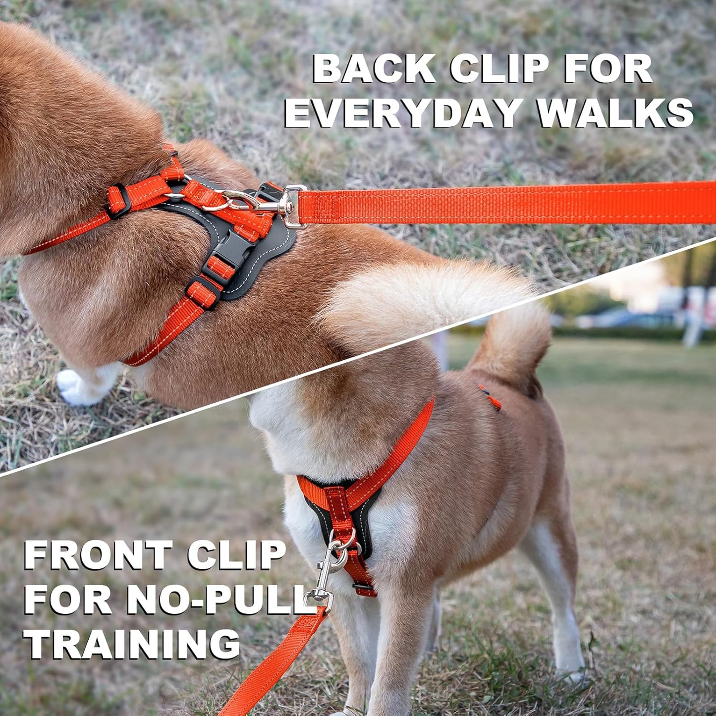 Plutus Pet Adjustable No Pull Dog Harness with Leather Accents, Heavy Duty Reflective Nylon Vest for Training, Hiking, Easy Walk Harness for Small, Medium, Large Dogs (Orange, M)