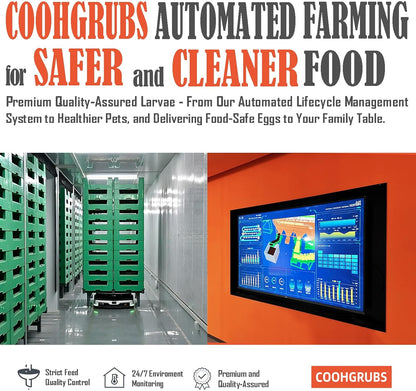 Dried Black Soldier Fly Larvae for Chickens, High-Calcium 85X More Than Mealworms Bird Treats, 5-lb Box