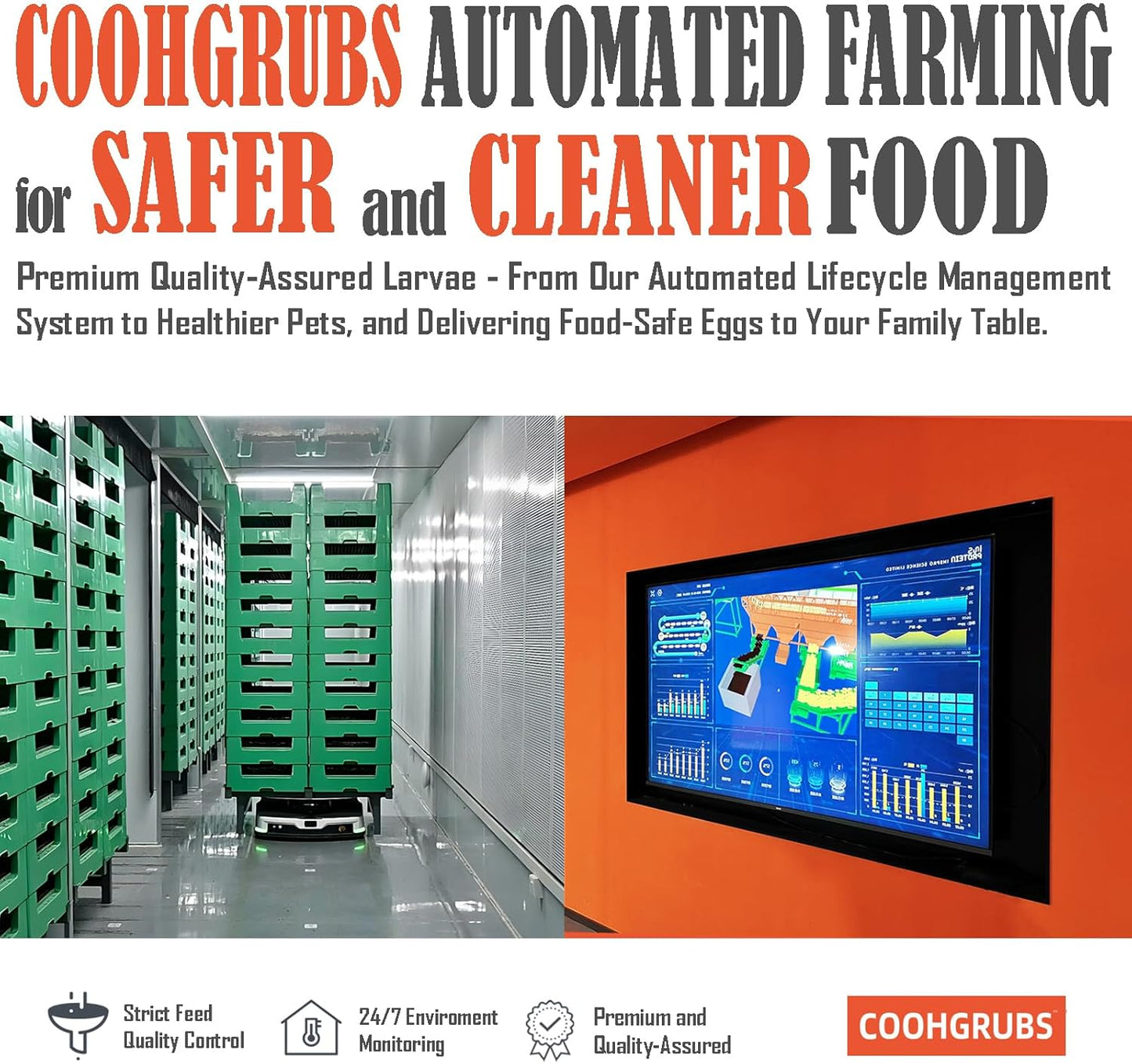 Dried Black Soldier Fly Larvae for Chickens, High-Calcium 85X More Than Mealworms Bird Treats, 10-lb Box