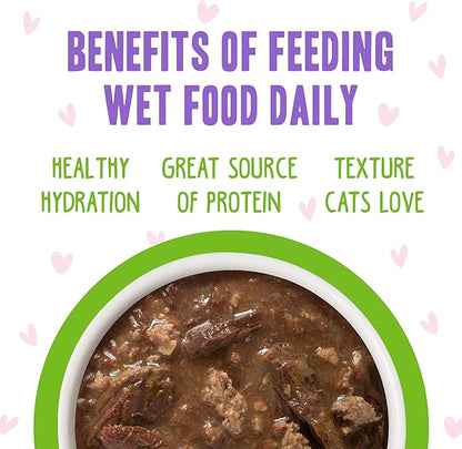 Weruva B.F.F. OMG - Best Feline Friend Oh My Gravy!, Tuna & Lamb Luv Ya with Tuna & Lamb in Gravy Cat Food, 3oz Pouch (Pack of 12)