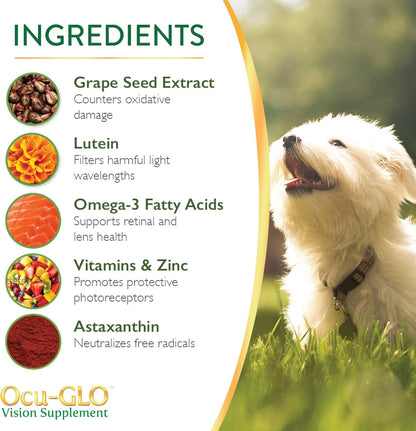 Ocu-GLO PB Vision Supplement for Medium & Large Dogs – Easy to Administer Powder Blend with Lutein, Omega-3 Fatty Acids, Grape Seed Extract & Antioxidants to Promote Eye Health, 90ct Powder Capsules