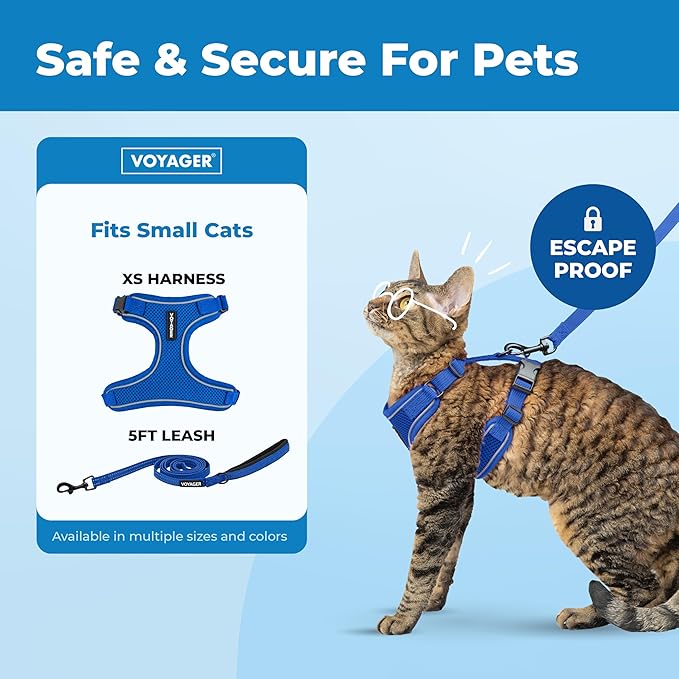 Voyager Escape Proof Cat Harness and Leash Set with Reflective Stitching, Neoprene Handle 5ft - Supports Small, Medium and Large Cats, Kittens for Walking by Best Pet Supplies - Royal Blue, XS