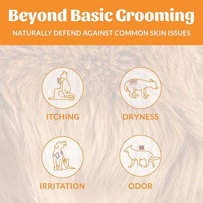 SKOUT'S HONOR Probiotic Pet Deodorizer Spray- Hydrating Daily-Use with Avocado Oil & Omega-3s, Microbiome Friendly Certiified, Paraben & Sulfate-Free, 97% Natural, 8oz, Honeysuckle, 2-Pack