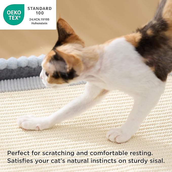 Bedsure Cute Cat House for Indoor Cats - Extra Wide Cat Scratch House with Large Top Sisal Scratch Pad for Multiple Cats, Foldable Kitty Cave Hideaway for Entertainment, 23.6x15.9x12.6inches, Blue