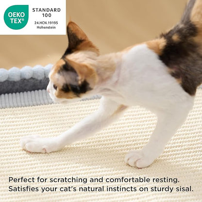 Bedsure Cute Cat House for Indoor Cats - Extra Wide Cat Scratch House with Large Top Sisal Scratch Pad for Multiple Cats, Foldable Kitty Cave Hideaway for Entertainment, 23.6x15.9x12.6inches, Blue