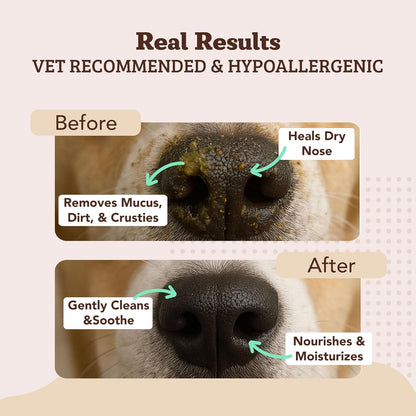 Natural Dog Snout Wipes, 50 Count - Snout Dog Wipes for Cleaning and Soothing, Natural, Non-Toxic Dog Care Products, Kukui Oil Infused, Snout Soother Wipes, Nourishing and Moisturizing Wipes for Dogs