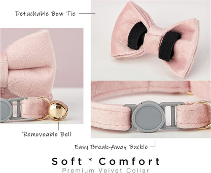 Personalized Breakaway Cat Collar with Safety Buckle - Customizable Name and Phone Number