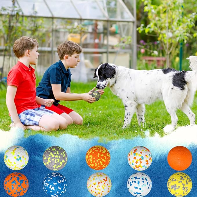 Lenwen 10 Pcs Dog Toy Ball for Aggressive Chewers Interactive Dog Ball for Boredom and Stimulating Bouncy Floating Rubber Toy for Large Medium Small Puppy(3 Inch,Bright Color)
